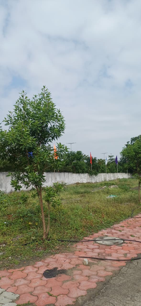 Residential PLOT  419 - GREEN VALLEY  - 1